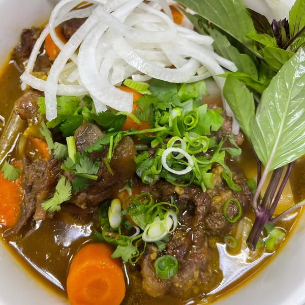Close-up of Pho Bulous's Vietnamese beef stew with carrots, onions, cilantro, and basil.